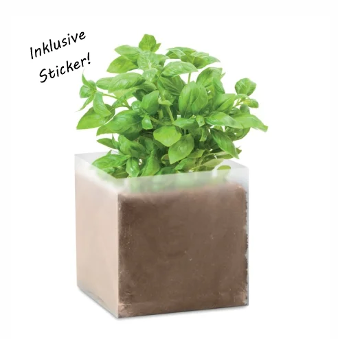 Pflanz-Set Basilikum – das essbare Give-Away