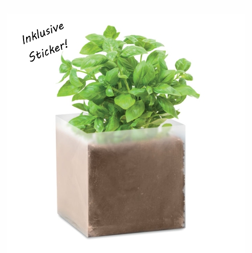 Pflanz-Set Basilikum – das essbare Give-Away